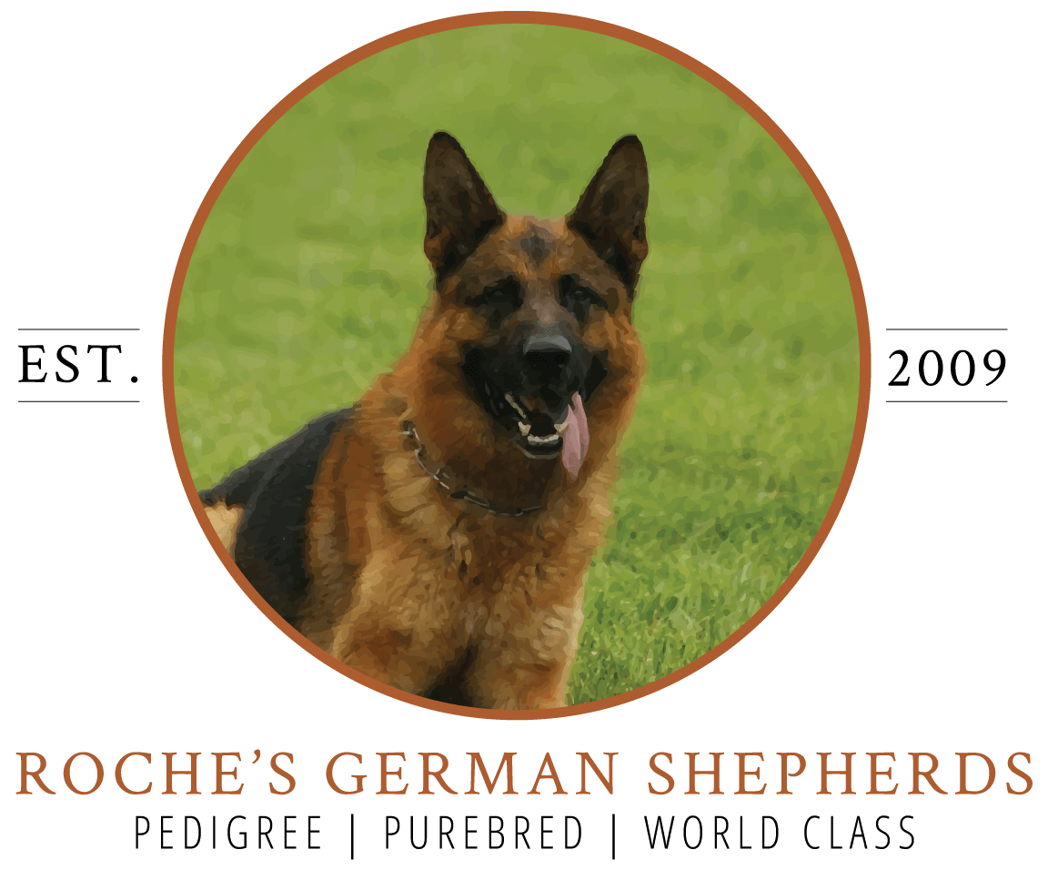 Roche's German Shepherds Logo