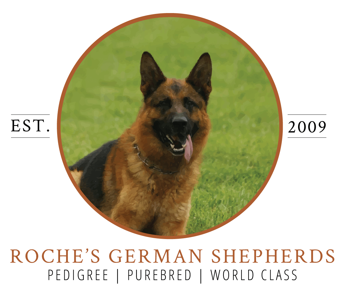 Roche's German Shepherds