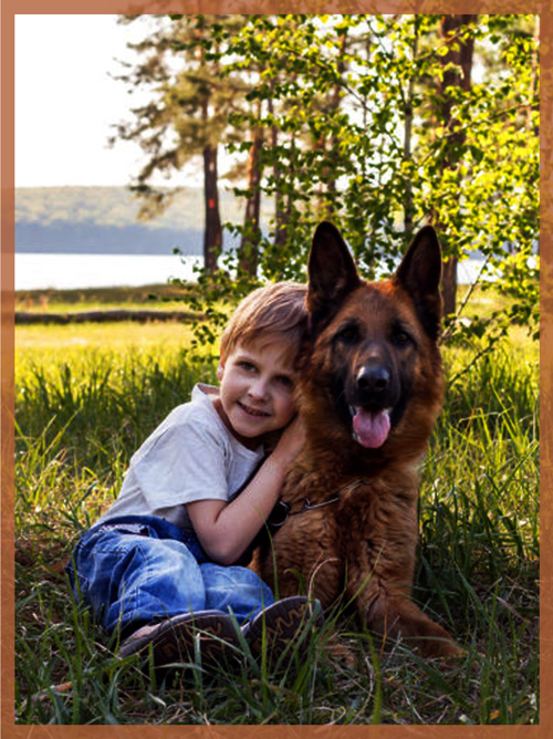 dog dog